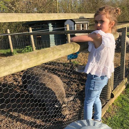 Willow Court Farm Studio East & Petting Farm, 8 Mins To Legoland & Windsor, 15 Mins To Lapland Uk Esterno foto