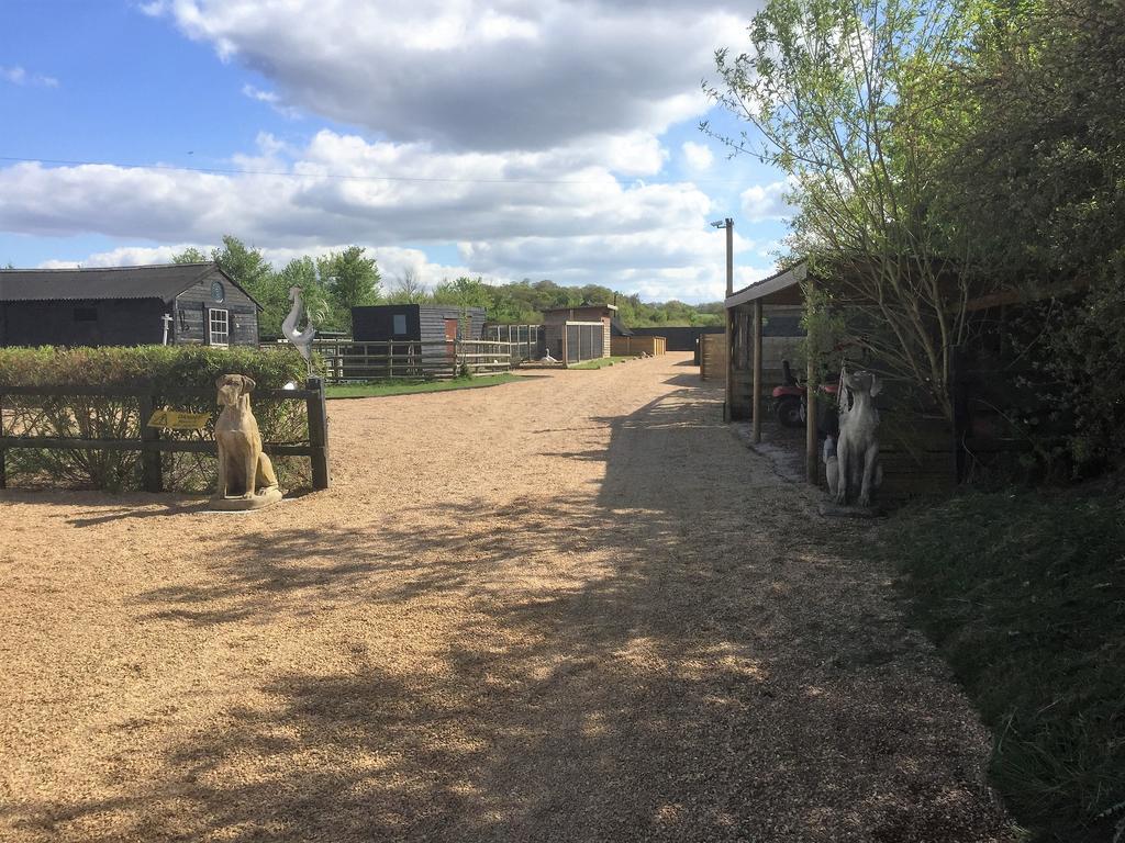 Willow Court Farm Studio East & Petting Farm, 8 Mins To Legoland & Windsor, 15 Mins To Lapland Uk Esterno foto