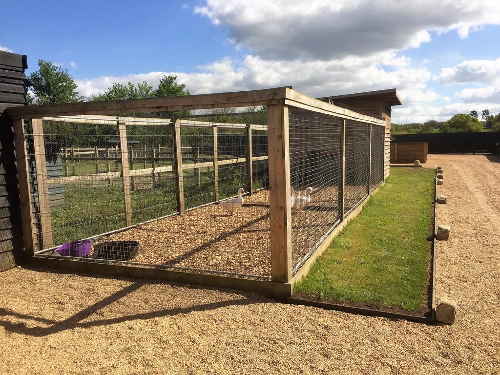 Willow Court Farm Studio East & Petting Farm, 8 Mins To Legoland & Windsor, 15 Mins To Lapland Uk Esterno foto