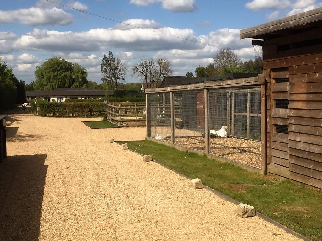 Willow Court Farm Studio East & Petting Farm, 8 Mins To Legoland & Windsor, 15 Mins To Lapland Uk Esterno foto