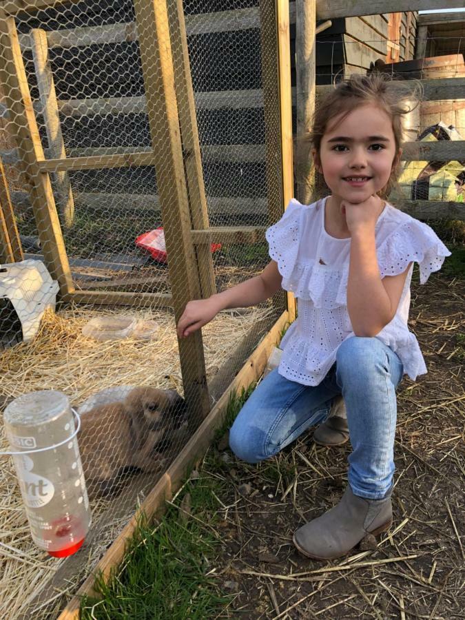 Willow Court Farm Studio East & Petting Farm, 8 Mins To Legoland & Windsor, 15 Mins To Lapland Uk Esterno foto