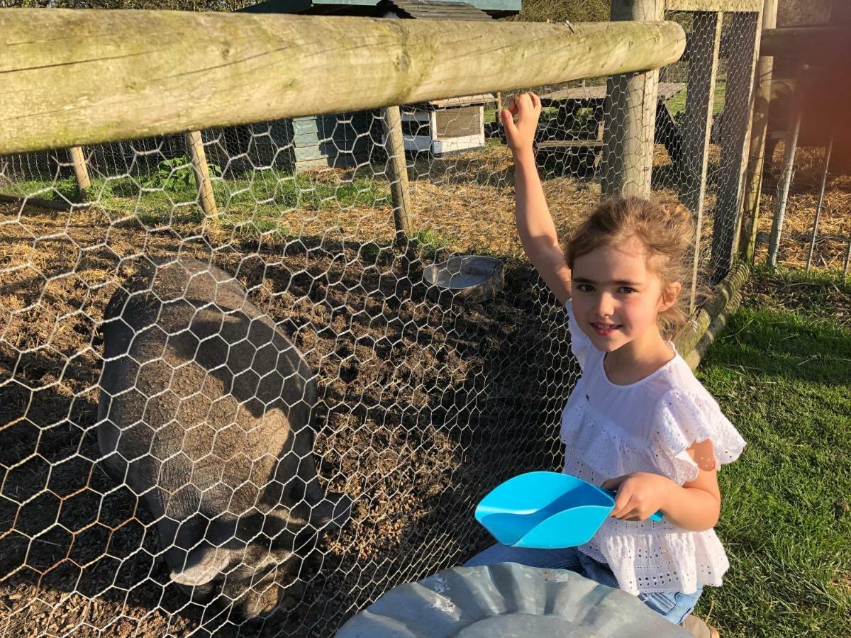 Willow Court Farm Studio East & Petting Farm, 8 Mins To Legoland & Windsor, 15 Mins To Lapland Uk Esterno foto